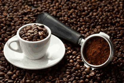 外贸数据,咖啡外贸数据,肯尼亚咖啡外贸数据 外贸数据,咖啡外贸数据,肯尼亚咖啡外贸数据